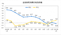 <b>统计局：1月CPI同比下降0.3% 居住价格下降0.4%</b>